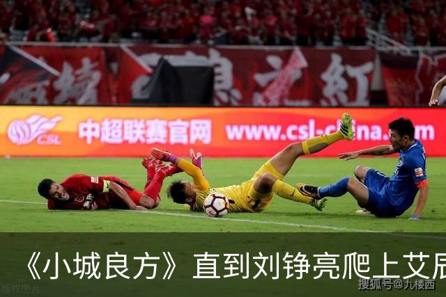 《小城良方》直到刘铮亮爬上艾辰的床，才知，她三十岁未婚的真相