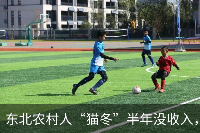 东北农村人“猫冬”半年没收入，一大家子人怎么撑下来的？