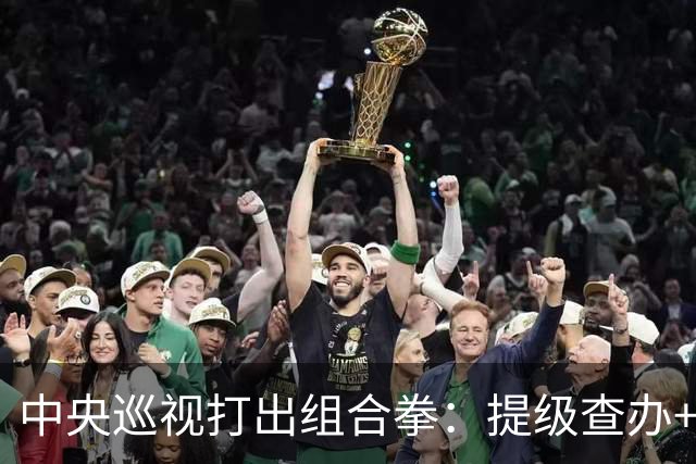 中央巡视打出组合拳：提级查办+深挖保护伞，查到线索再也瞒不住