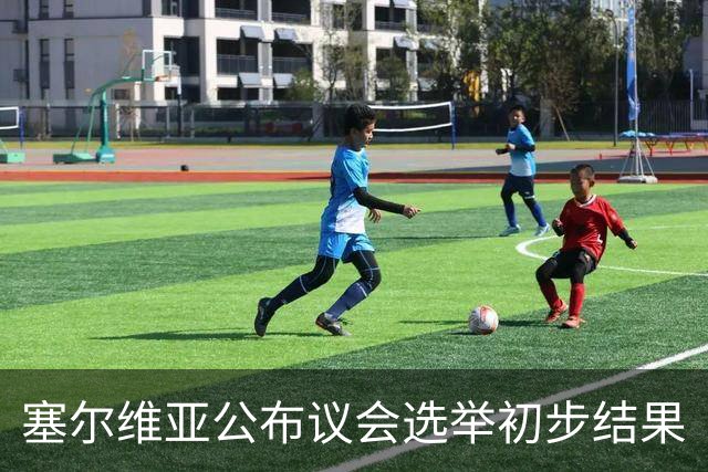 塞尔维亚公布议会选举初步结果