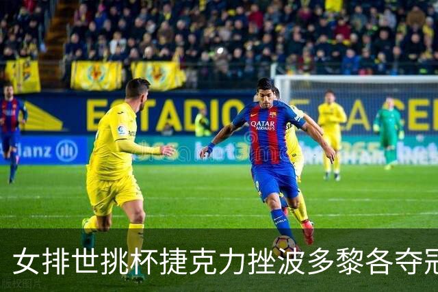女排世挑杯捷克力挫波多黎各夺冠 进军2025世联赛