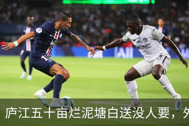 庐江五十亩烂泥塘白送没人要，外乡人租六年，藕卖完连夜走了