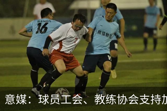 意媒：球员工会、教练协会支持加利亚尼竞选足协主席