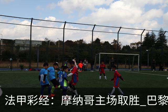 法甲彩经：摩纳哥主场取胜 巴黎分心欧冠