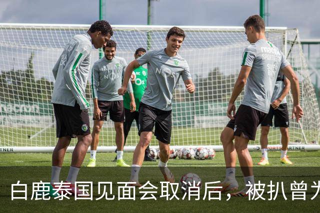 白鹿泰国见面会取消后，被扒曾为缅北拍宣传片，知情人爆更多内幕