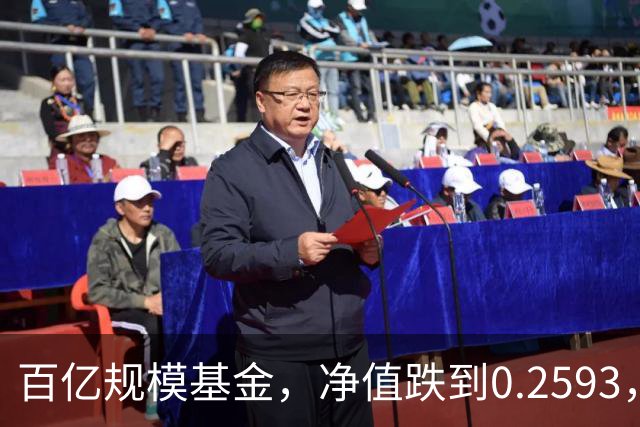 百亿规模基金，净值跌到0.2593，暴跌74%，亏得基民都不敢看账户