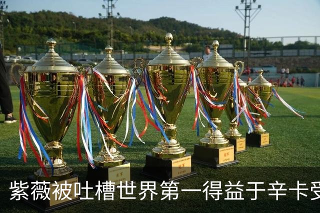 紫薇被吐槽世界第一得益于辛卡受伤，梅总发声力挺：排名100%公平