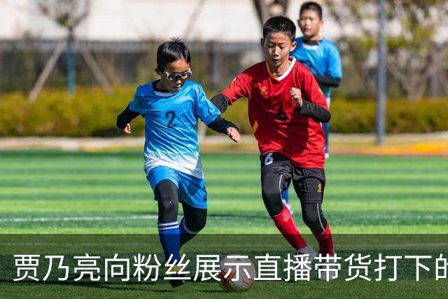 贾乃亮向粉丝展示直播带货打下的江山，参观衣帽间